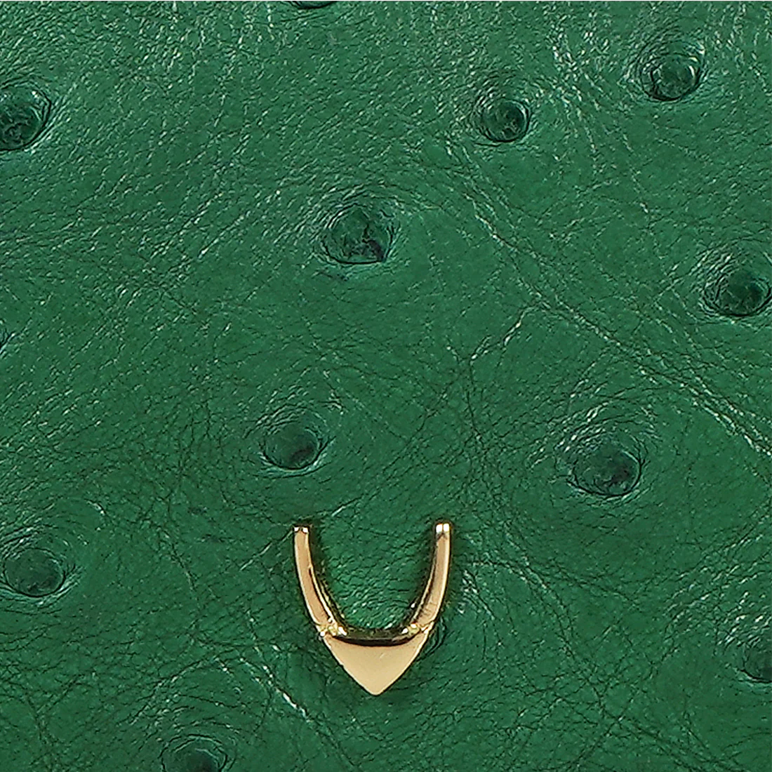 Coral W3 Green Leather Bi-Fold Wallet - Image 7