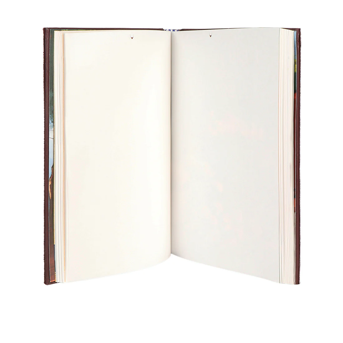Savoir Faire Brown Leather Combo - Image 5