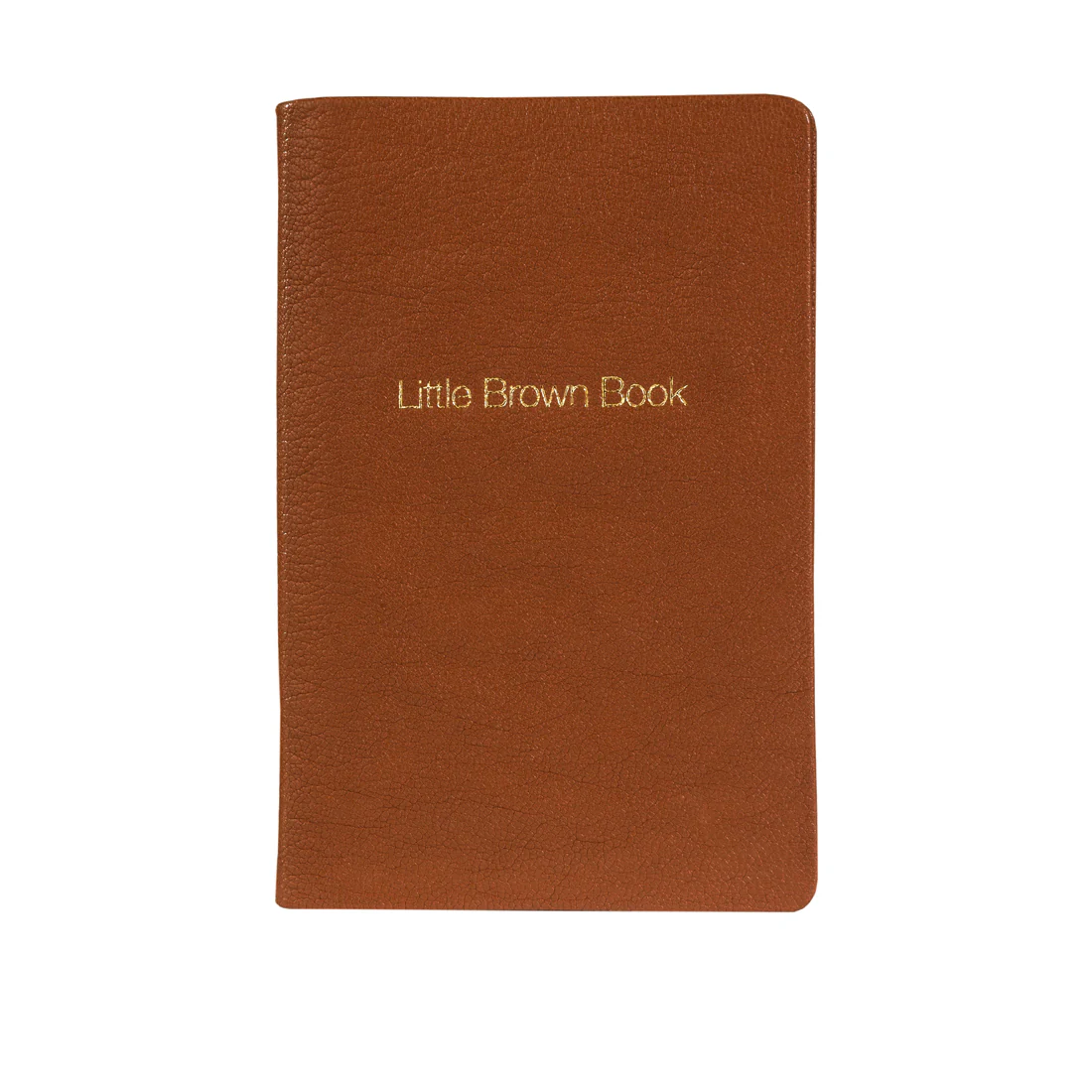 Little Brown Boo Brown Leather Note Book