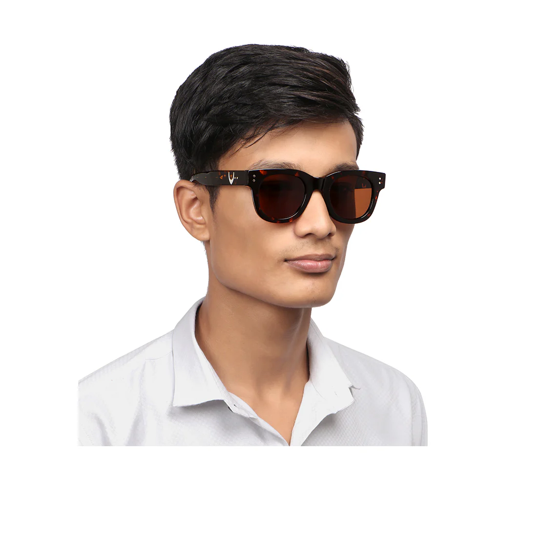 Long Beach Unisex Brown Wayfarer Sunglasses - Image 2